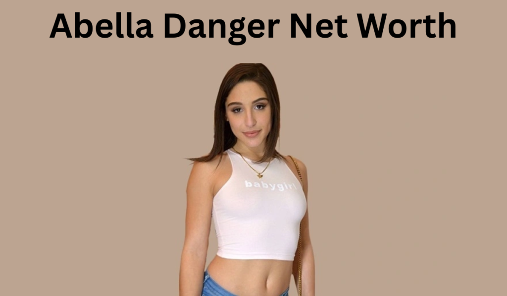 abella danger net worth